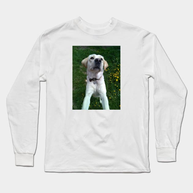 labrador Long Sleeve T-Shirt by Ulka.art